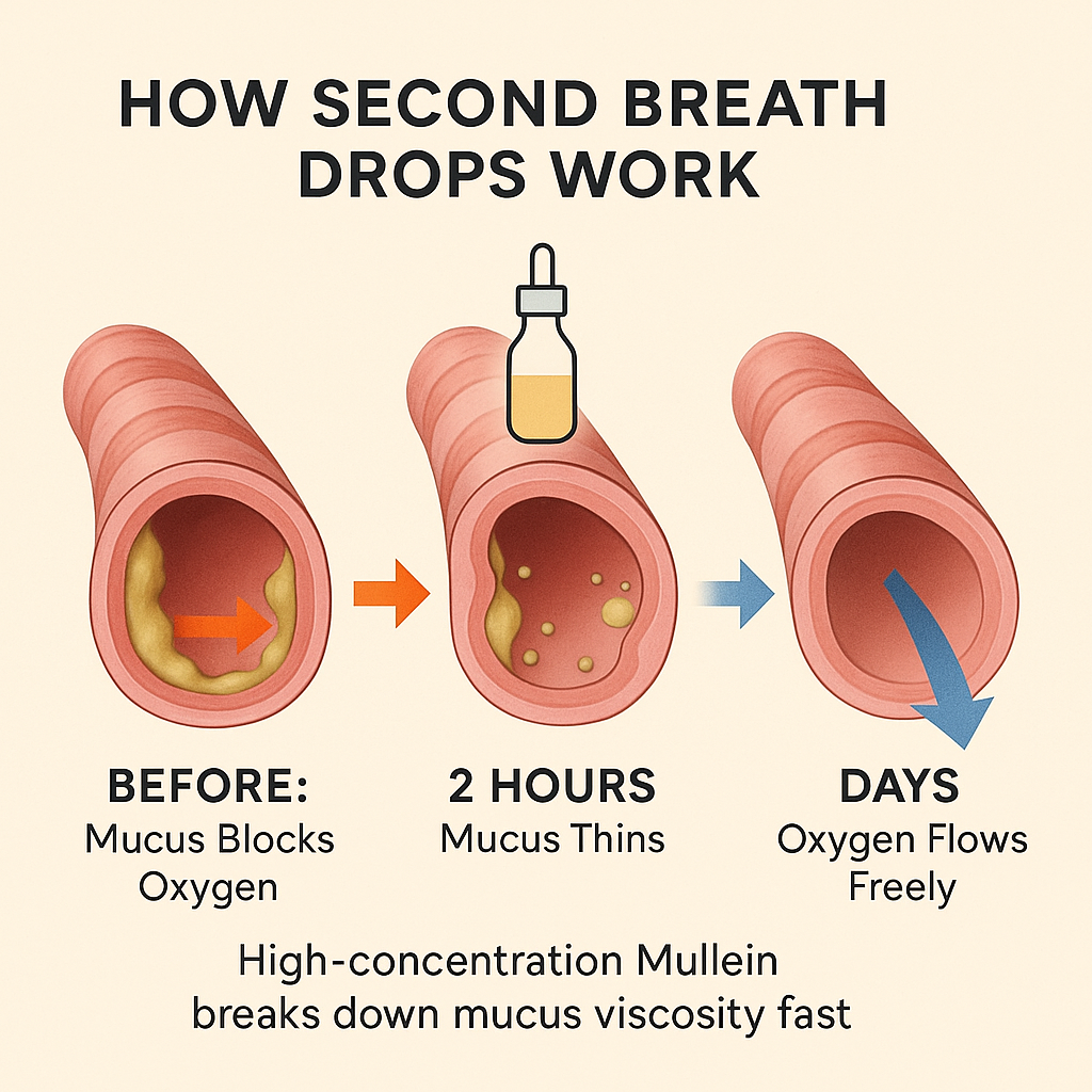 From 'Fighting for Breath' to Breathing Clearly— What Your Inhaler Can't Fix